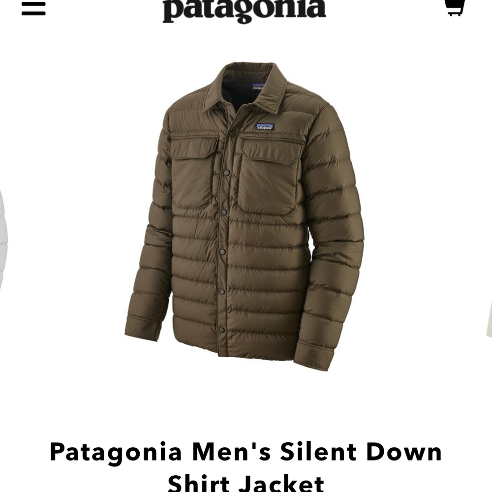 Patagonia men's silent down shirt